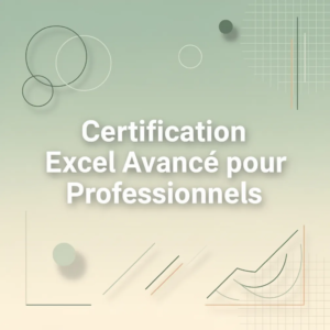 Certification Excel Avancé pour Professionnels